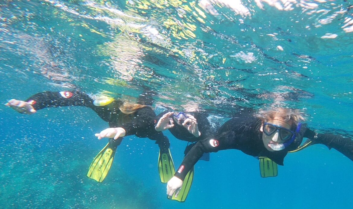 snorkeling a tenerife